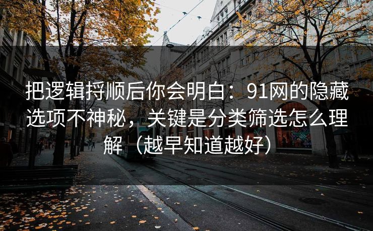 把逻辑捋顺后你会明白：91网的隐藏选项不神秘，关键是分类筛选怎么理解（越早知道越好）