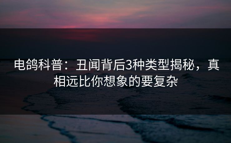 电鸽科普：丑闻背后3种类型揭秘，真相远比你想象的要复杂
